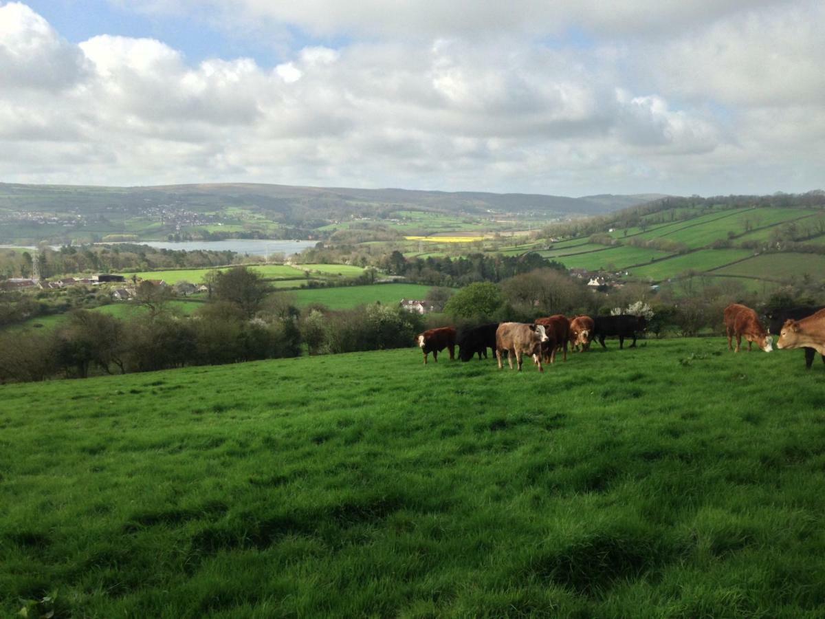 Brinsley Barn Lejlighed Blagdon Eksteriør billede